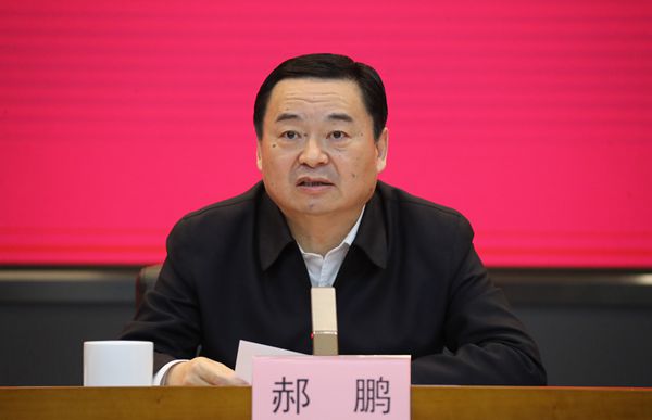 郝鵬、國資、央企、國資委、書記、主任、國企、企業(yè)改革